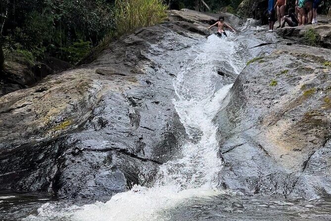 Rainforest Adventure All inclusive Food and Fotos - Weather and Cancellation Policy