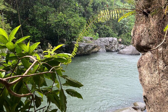 Rainforest Adventure All inclusive Food and Fotos - The Sum Up: Is This Tour Worth It?