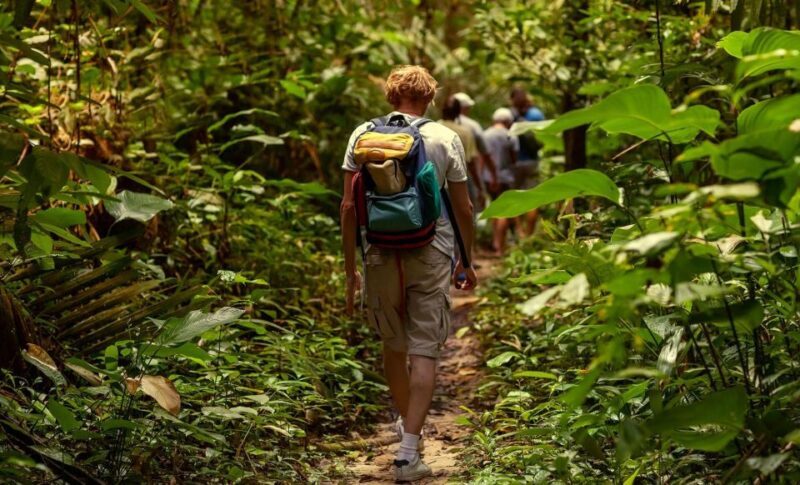 Rainforest Adventure - Who Is This Tour Best For?