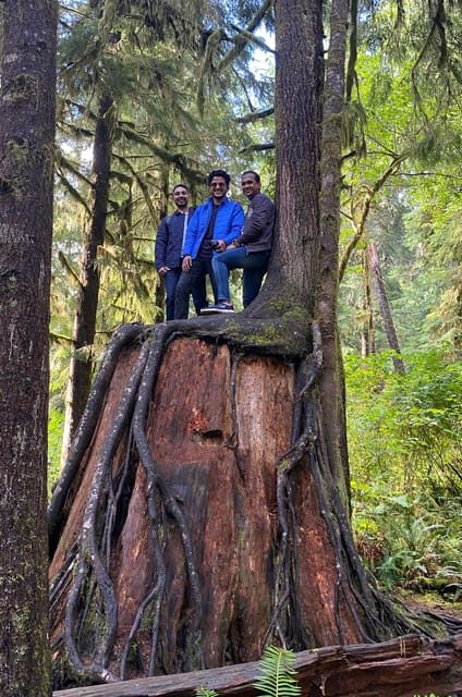 Rainforest and Olympic National Park Highlights - Exploring the Rainforest and Olympic National Park Highlights: A Detailed Review
