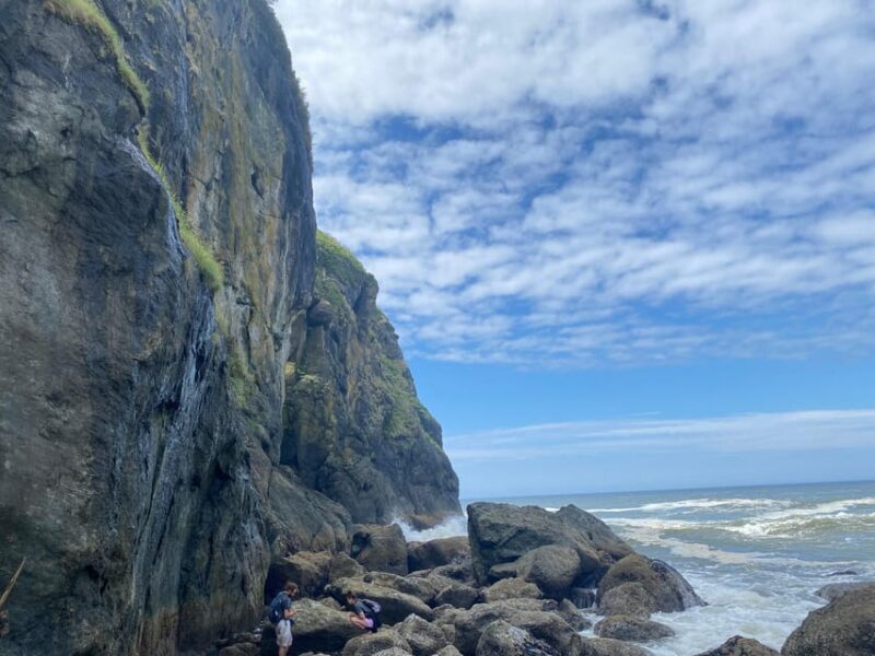 Rainforest and Olympic National Park Highlights - A Deep Dive into the Olympic National Park Highlights Tour