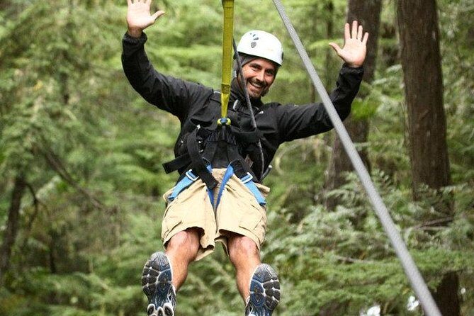 Rainforest Canopy Adventure from Vieux Fort or North Island, St Lucia - An Exciting Overview of the Rainforest Canopy Adventure in St. Lucia