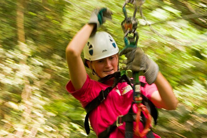 Rainforest Canopy Adventure from Vieux Fort or North Island, St Lucia - What You Can Expect from the Tour