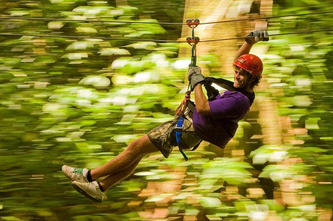 Rainforest Canopy Adventure from Vieux Fort or North Island, St Lucia - Who Will Love This Experience?
