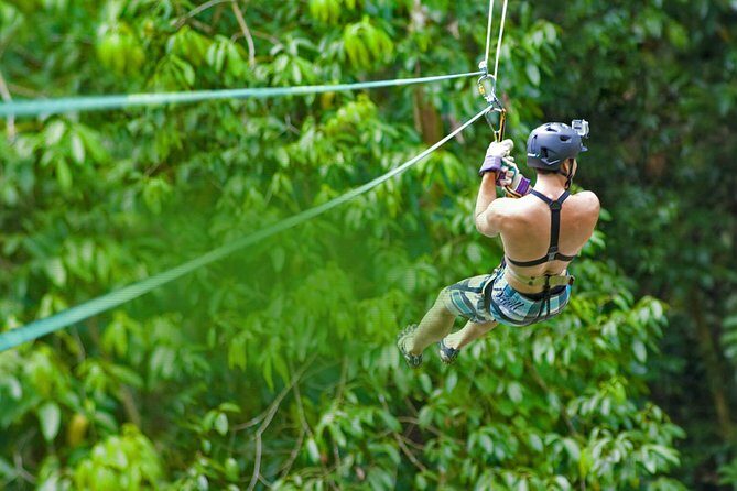 Rainforest Canopy Adventure from Vieux Fort or North Island, St Lucia - Authentic Experiences and Traveler Impressions