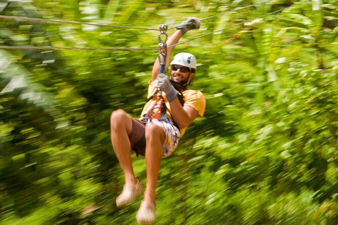 Rainforest Canopy Adventure from Vieux Fort or North Island, St Lucia - Pricing and Value Analysis