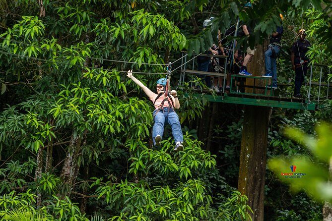 Rainforest Canopy Adventure from Vieux Fort or North Island, St Lucia - Practical Tips for Participants