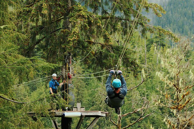 Rainforest Canopy & Zipline Adventure in Ketchikan, AK - Who Might Want to Think Twice