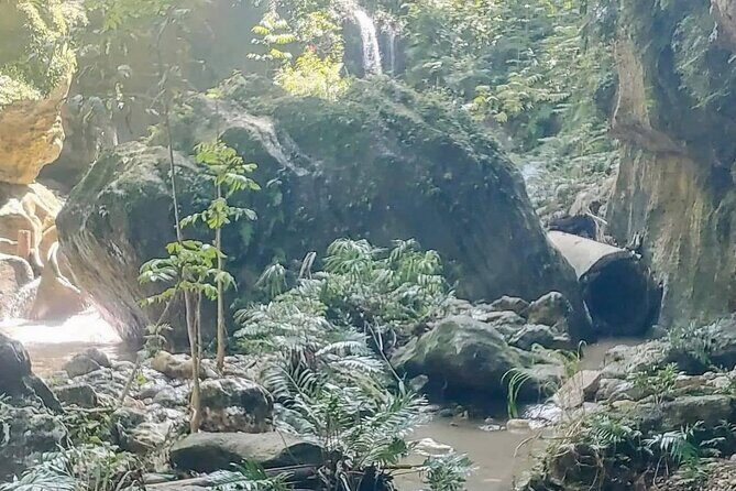 Rainforest Caves and Waterfalls Exploration with Transportation - The Sum Up: Who Is This Tour Best For?