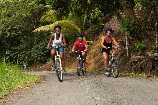 Rainforest Cycling Adventure in St. Lucia - Key Points