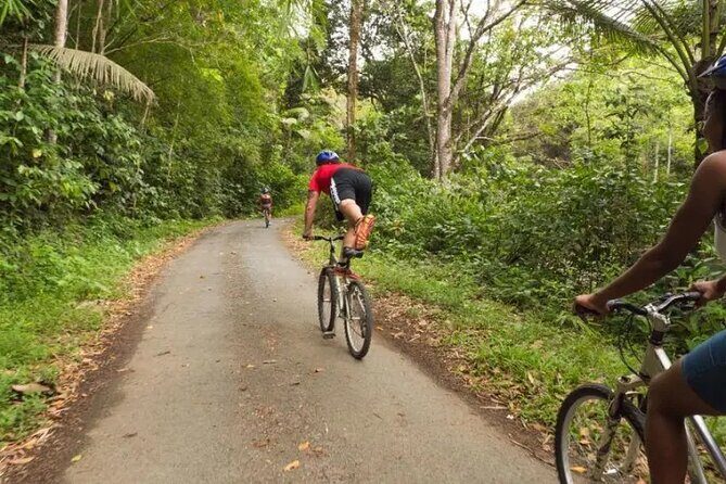 Rainforest Cycling Adventure in St. Lucia - Frequently Asked Questions