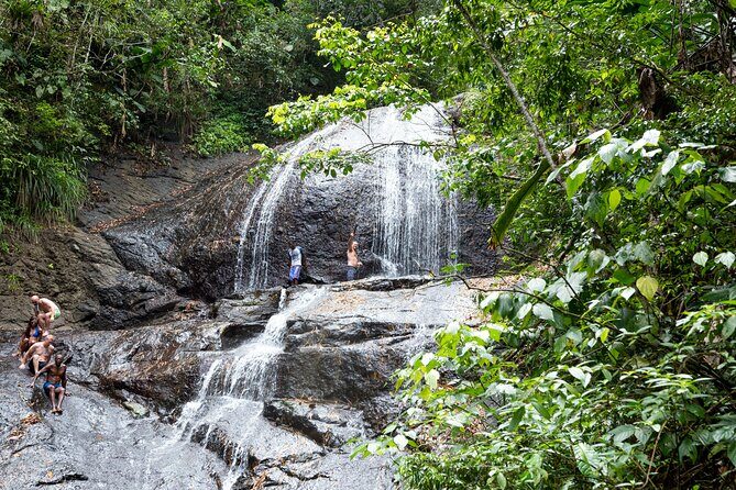Rainforest Hike and Waterfall Safari - Key Points