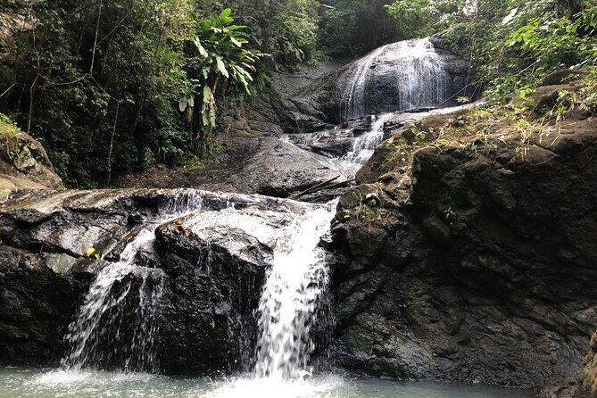 Rainforest Hike and Waterfall Safari - A Detailed Look at the Rainforest Hike and Waterfall Safari