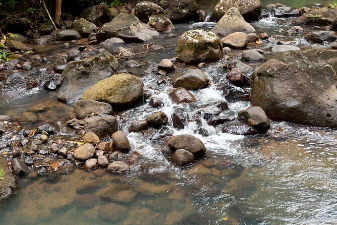 Rainforest Hike and Waterfall Safari - FAQ