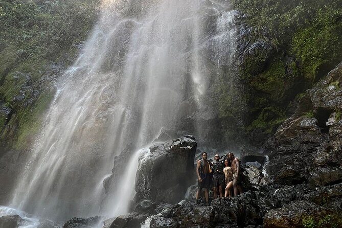 Rainforest Hike to Hidden Waterfall in Puerto Rico with Transport - A Deep Dive into Puerto Rico’s Hidden Waterfall Hike