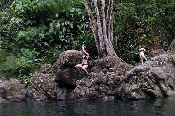 Rainforest River Hike and Waterfalls Adventure - Practical Tips for Your Adventure