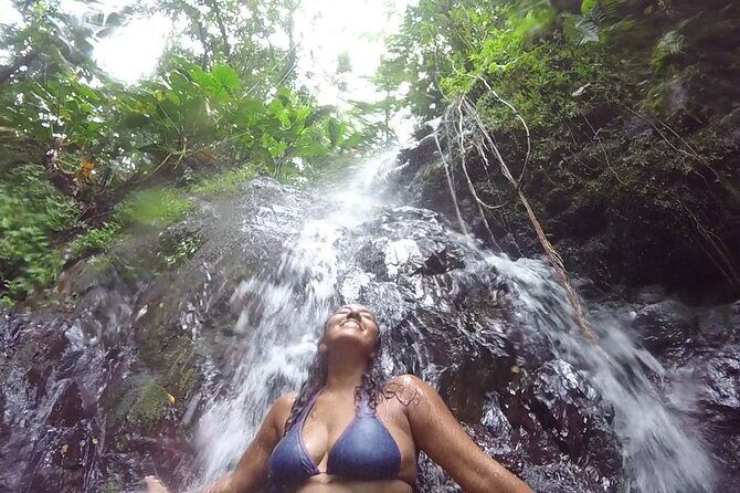 Rainforest River Hike and Waterfalls Adventure - Reviews and Authentic Voices