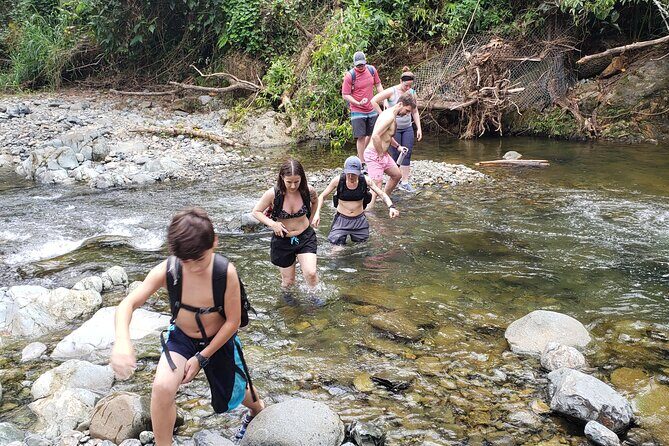Rainforest River Hike and Waterfalls Adventure - Who Should Consider This Tour?