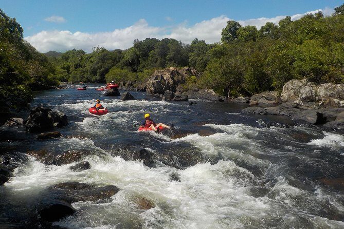 Rainforest River Tubing from Cairns - The Value of This Experience