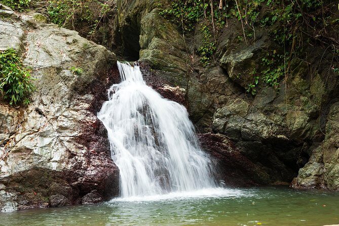 Rainforest Tour - Why This Tour Works Well