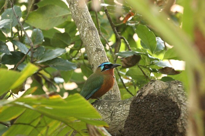Rainforest Tour - Final Thoughts: Is It Worth It?