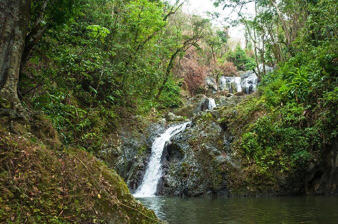 Rainforest Tour - FAQ