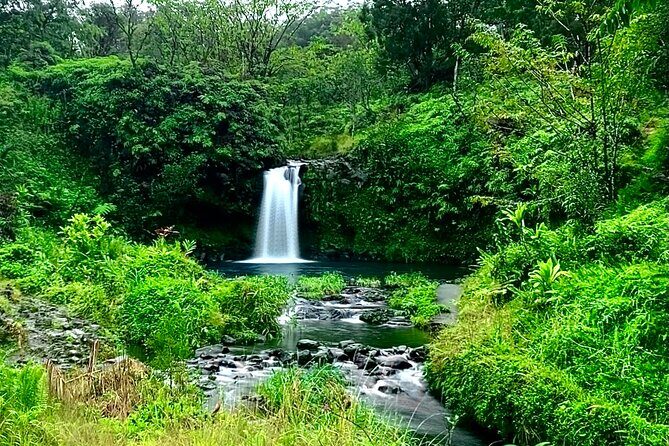 Rainforest Tour to Hana and Beyond - The Sum Up: Is This Tour Right for You?