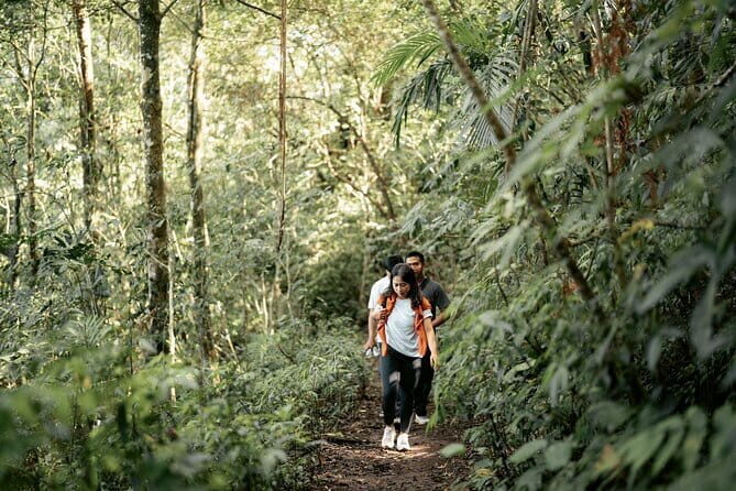 Rainforest Trekking, Tamblingan Lake Canoeing and Best Waterfall - What Makes This Tour Stand Out