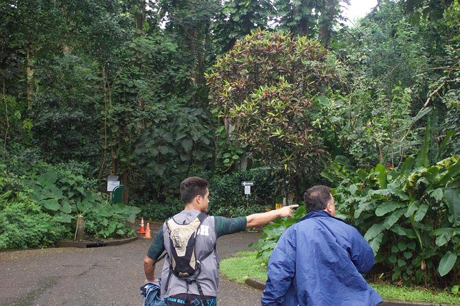 Rainforest Waterfall Trail and Shuttle Service - Who Should Consider This Tour?