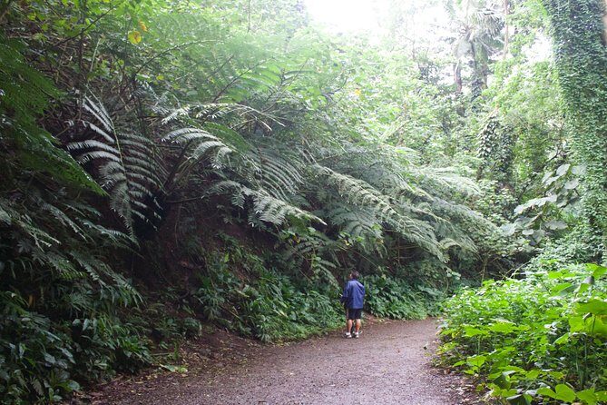 Rainforest Waterfall Trail and Shuttle Service - The Sum Up