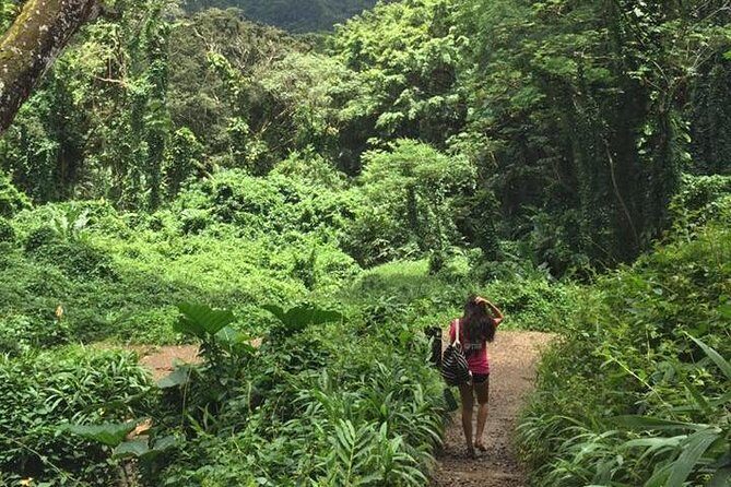 Rainforest Waterfall Trail and Shuttle Service - FAQ