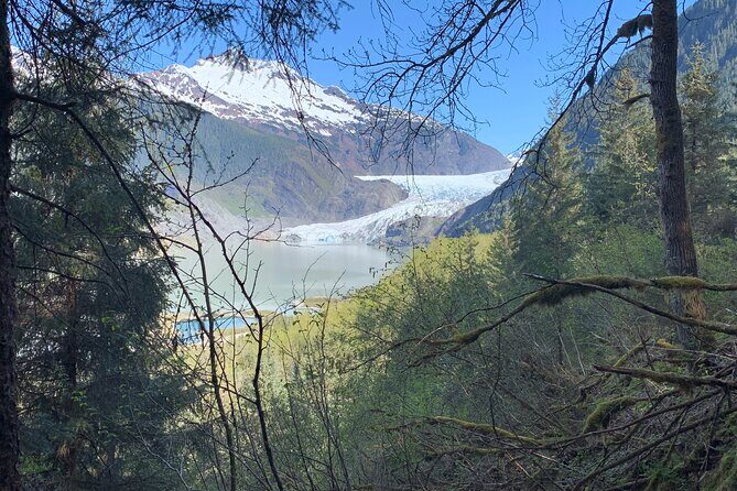 Rainforest & Waterfalls Trek - What the Tour Offers