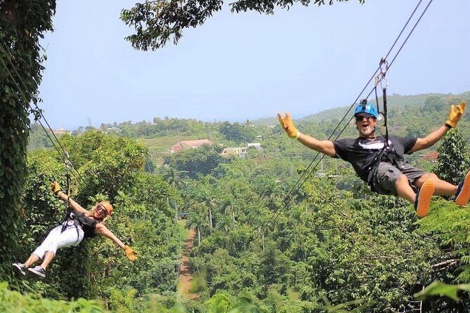 Rainforest Zipline in Foothills of the National Rainforest - Key Points