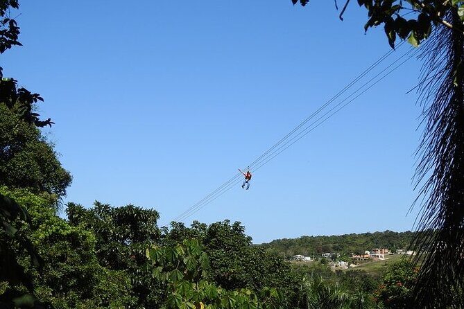 Rainforest Zipline in Foothills of the National Rainforest - What Makes This Zipline Unique?