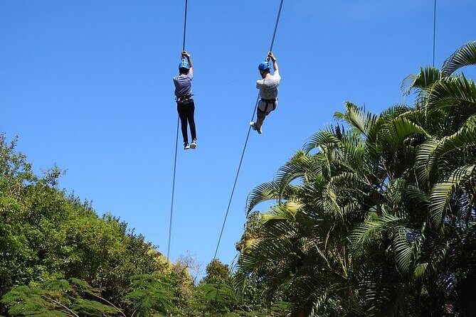 Rainforest Zipline in Foothills of the National Rainforest - The Experience from a Traveler’s Perspective