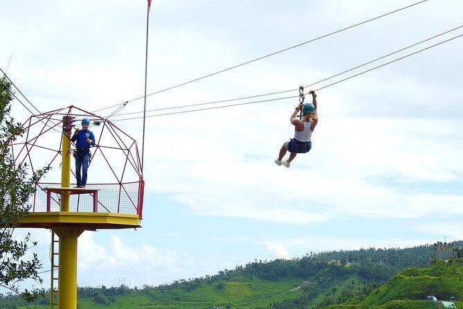 Rainforest Zipline in Foothills of the National Rainforest - Practical Tips for Visitors