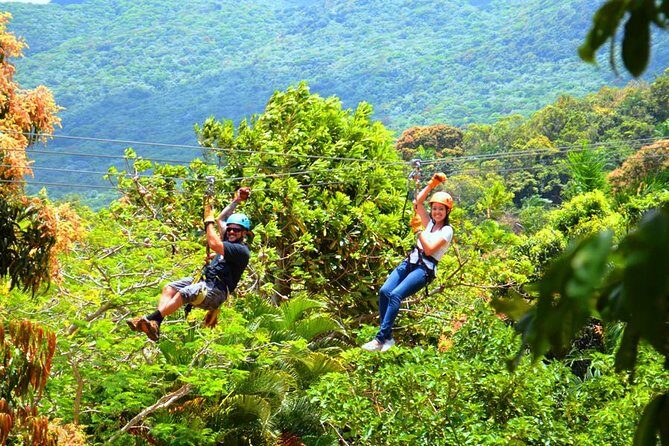 Rainforest Zipline in Foothills of the National Rainforest - The Sum Up