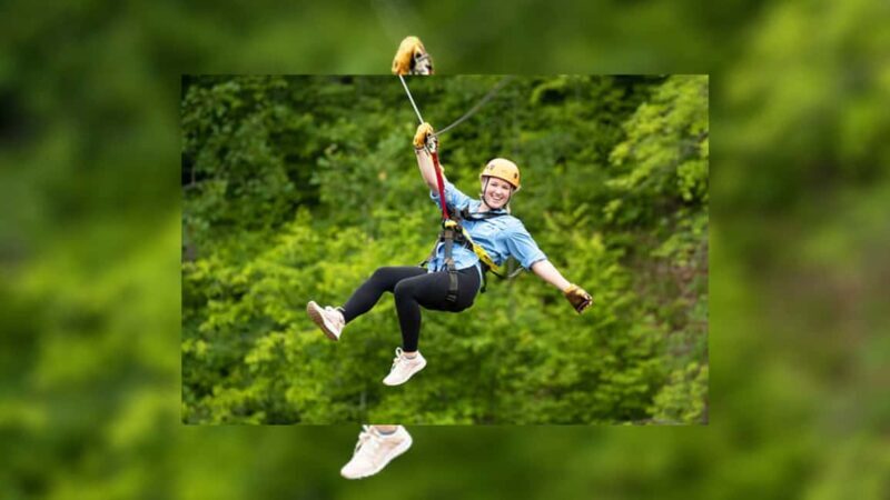 Rainforest Ziplining Adventure - A Closer Look at the Rainforest Ziplining Adventure