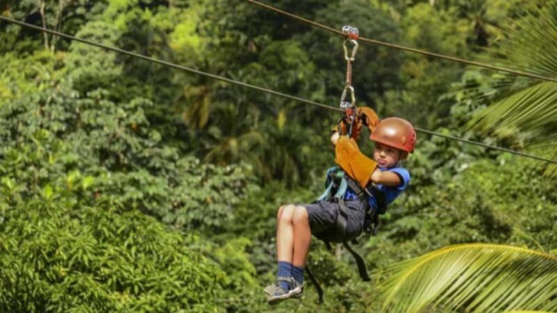 Rainforest Ziplining Adventure - The Sum Up