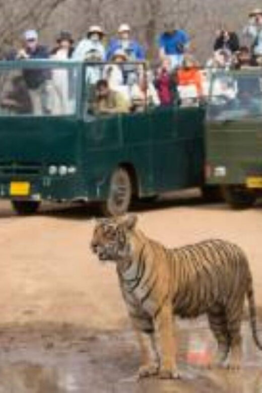 Rajasthan: Ranthambore National Park Safari - The Landscape and Cultural Highlights