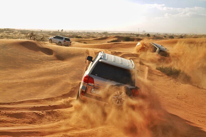 RAK Desert Safari and BBQ Dinner with RAK pick up - Key Points