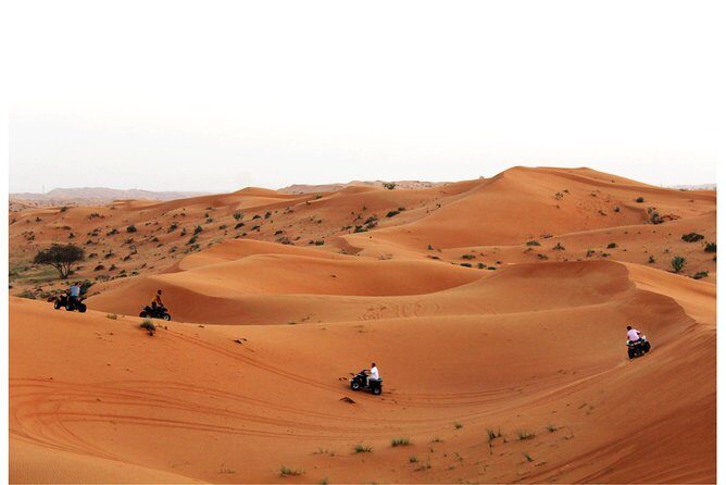 RAK Quad Bike Tour with Return Transfer - An Overview of What to Expect from the RAK Quad Bike Tour