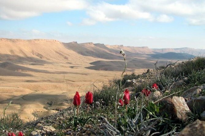 Ramon Crater Jeep Tour from Mitzpe Ramon - Who Should Consider This Tour?
