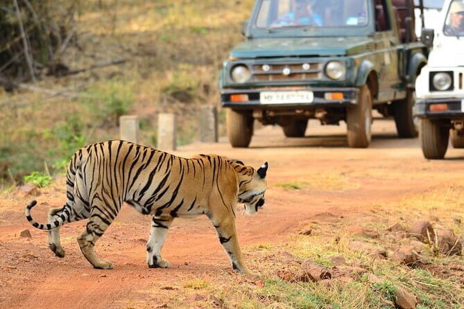Ramtek Fort and Temple Day Trip from Nagpur - Frequently Asked Questions