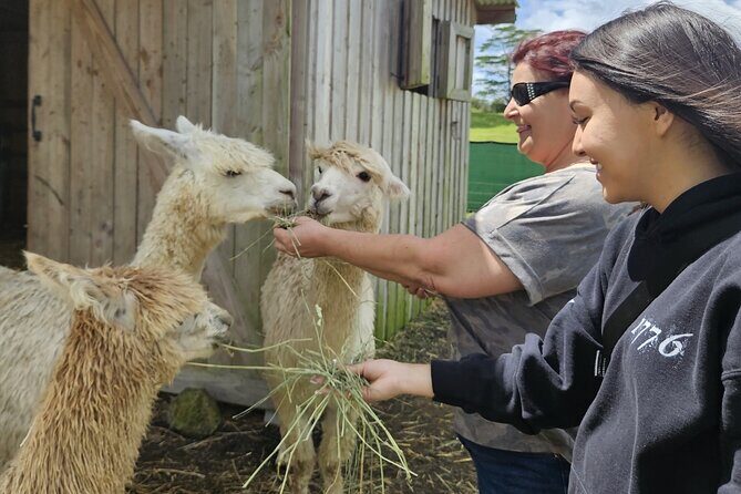 Ranch Tour & Animal Encounters - The Sum Up