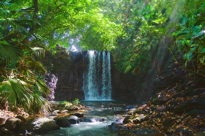 Randonnée - Le Sud Sauvage - FAQ