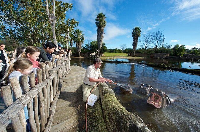 Ranger Mystery Tour at Werribee Open Range Zoo - excl. entry - Who Should Consider This Tour?