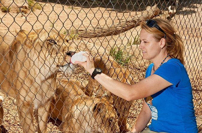 Ranger Mystery Tour at Werribee Open Range Zoo - excl. entry - FAQs
