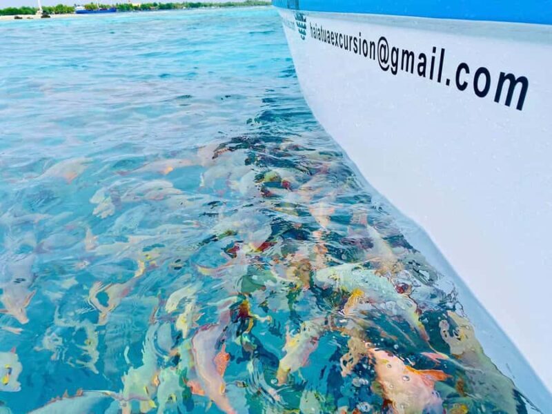 Rangiroa: Blue Lagoon Tiputa Pass Coral Garden Island Birds - Key Points