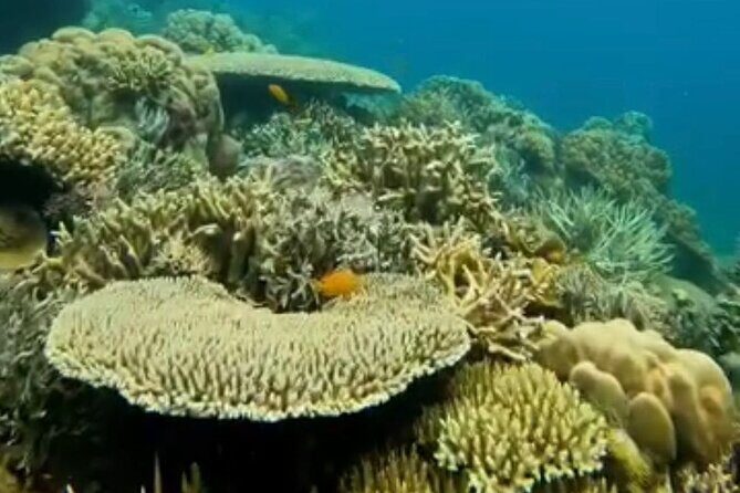 Rangko Cave & Beach Snorkeling Half Day Sharing Trip Labuan Bajo - Who Would Enjoy This Tour?